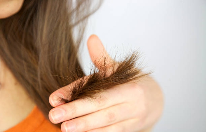 Healthy Scalps Are the Basis for Healthy Hair