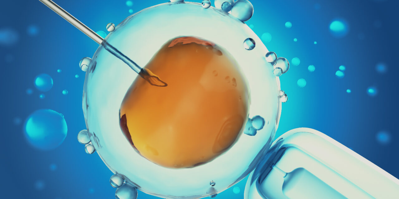 IVF with Donor Egg Process Step by Step Guide